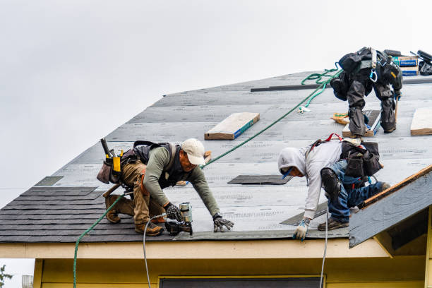 Professional Roofing technician working in Penrose, NC
